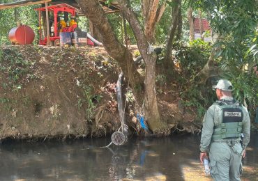 Video | Mueren peces en ríos Matua e Higüero por supuesta contaminación de campo de golf