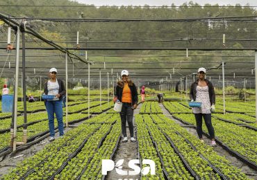 Sur Futuro celebra 24 años en la siembra de esperanza