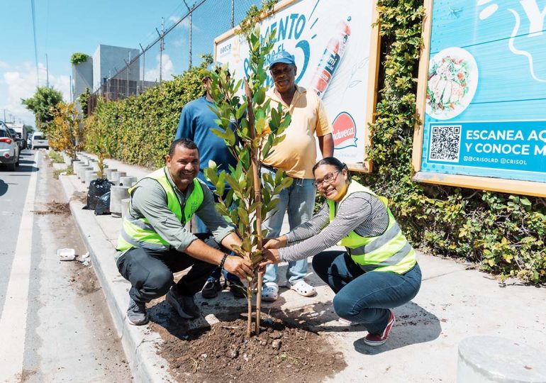 Alcaldía del DN repone árboles que resultaron afectados por lluvias de Melissa