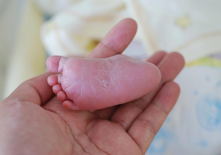 15 de noviembre Día Mundial de la Sangre del Cordón Umbilical