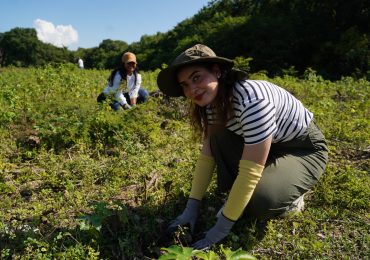 Durante jornada de reforestación en Najayo, Edesur siembra 1,500 árboles de caoba criolla en San Cristóbal
