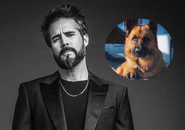 José Ron se despide de su perrita Kiara con un conmovedor mensaje: “El amor, incluso en el dolor, sigue siendo mi motivo”
