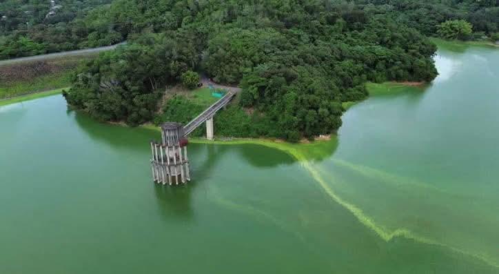 Alarma por Color Verdoso en Agua de la Presa de Hatillo en Cotuí