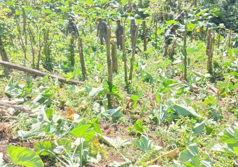 Despliegan gran Operativo Militar Conjunto y de acción unificada para proteger el Parque Nacional Los Haitises