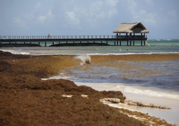 Naciones Unidas adopta una resolución sobre el sargazo presentada por República Dominicana