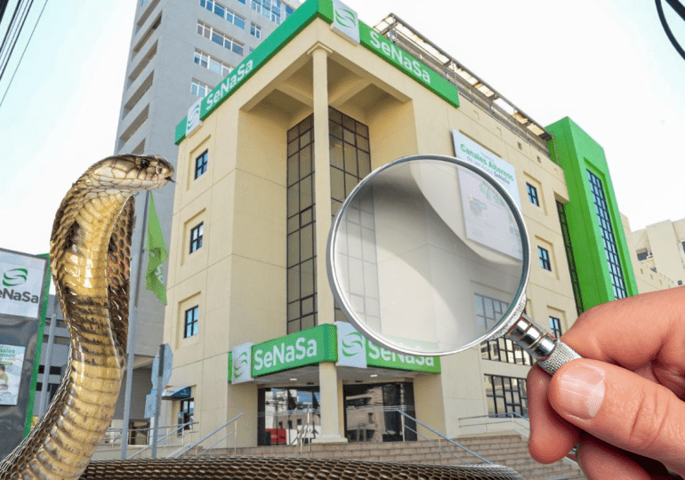 Foro Ciudadano llama a vigilar e investigar hechos de corrupción en SENASA