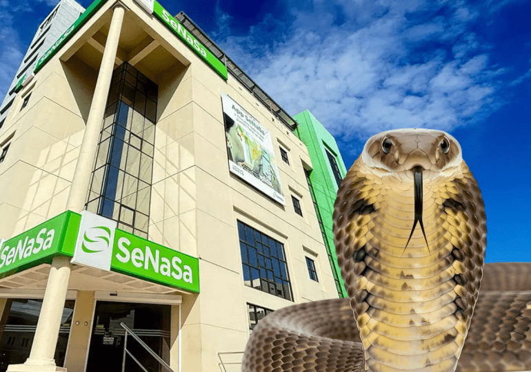 Entramado de corrupción impactado con la Operación Cobra captó miles de millones en sobornos para enriquecerse