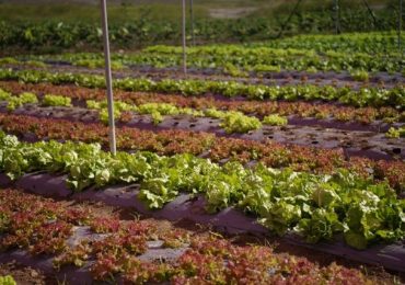Desarrollo Social Supérate inaugura Casa Sombra Monte Grande