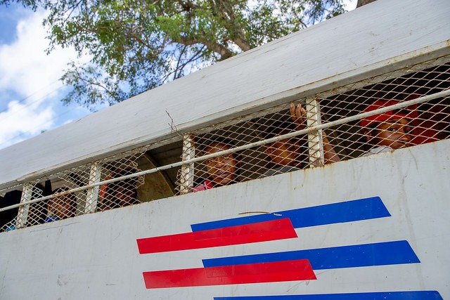 En el día del Migrante, OBMICA insta a una gestión migratoria basada en la institucionalidad y la eficiencia