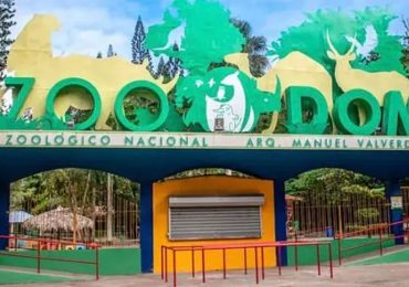 Instituciones reiteran el peligro que representa la introducción de especies invasoras provenientes de Puerto Rico