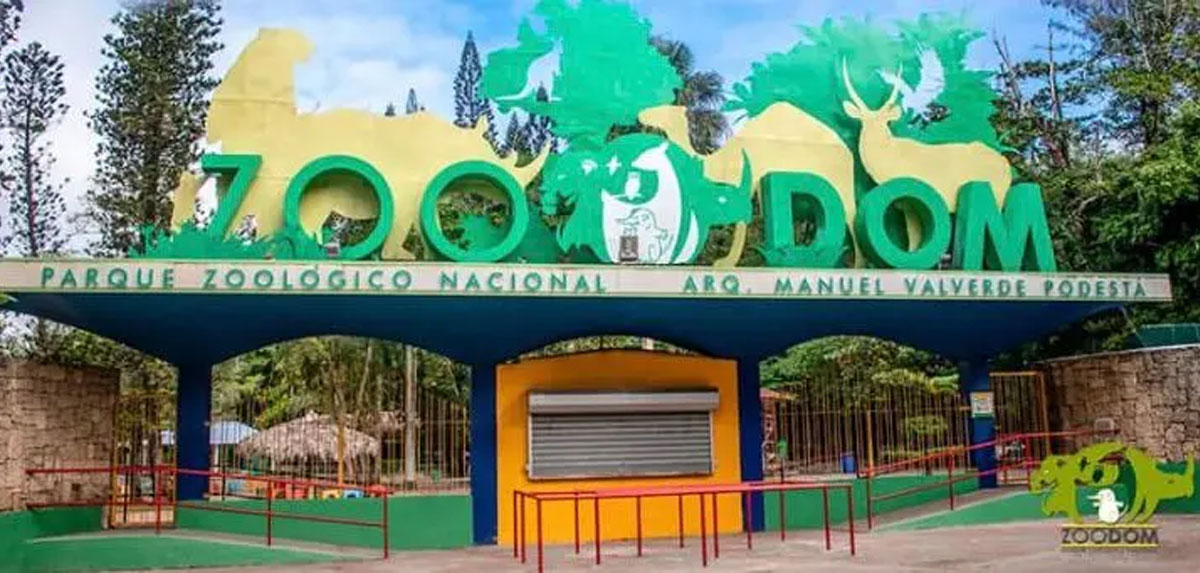 Instituciones reiteran el peligro que representa la introducción de especies invasoras provenientes de Puerto Rico