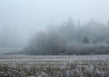 Fuerte helada marca el inicio de un período muy frío en zonas montañosas del país