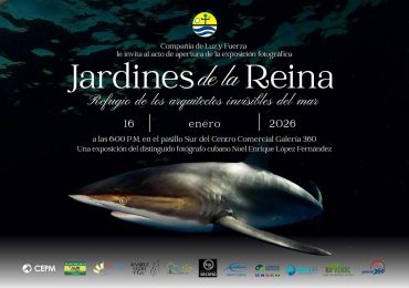 Jardines de la Reina: Refugio de los arquitectos invisibles del mar