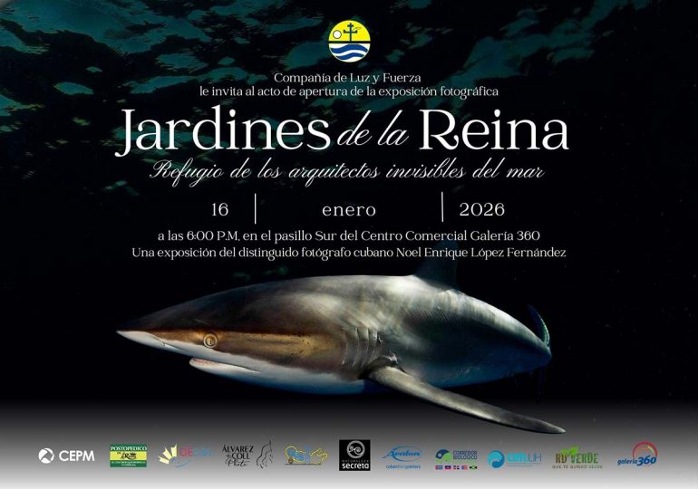 Jardines de la Reina: Refugio de los arquitectos invisibles del mar