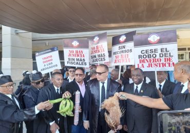 "Se aplica justicia a los que roban conejos, salami, pollos, fundas de arroz, guineos, plátanos y los cuellos blanco están en resort", aseguran abogados