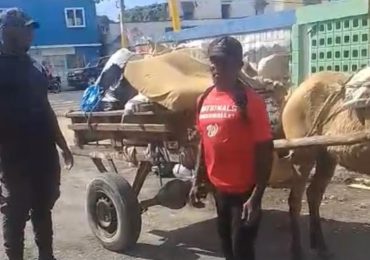 Policía Municipal detiene hombre por intento tirar basura en los alrededores del Estadio Tetelo Vargas