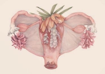 Vapores vaginales: una práctica sin respaldo científico que puede poner en riesgo la salud íntima