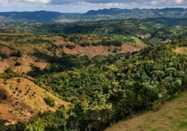 Vertrixi Holding asegura concesión minera solo permite exploración y no explotación