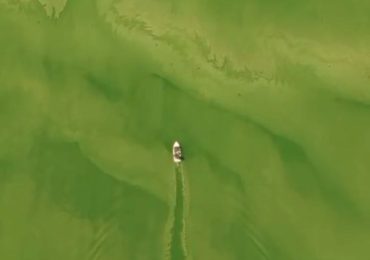 TE LO EXPLICO revela resultados de estudios científicos realizados al agua de la presa de Hatillo