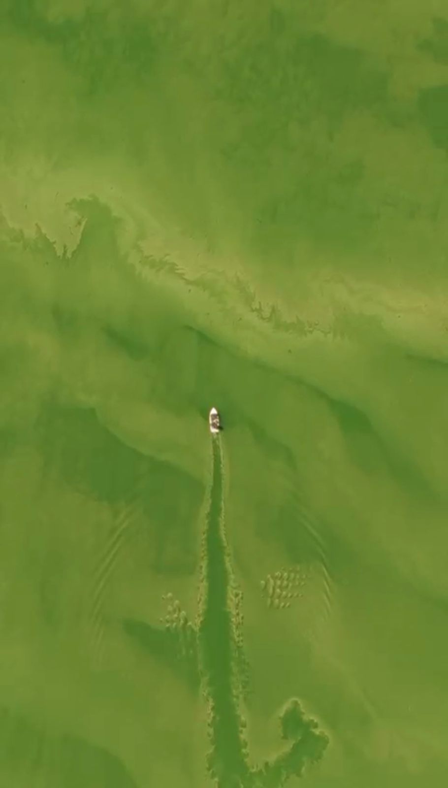 TE LO EXPLICO revela resultados de estudios científicos realizados al agua de la presa de Hatillo