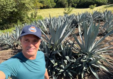 Proyecto de agave abre nueva oportunidad económica y comercial para el sur del país y la República Dominicana