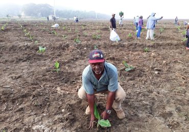 Trabajadores envejecientes del Proyecto La Cruz de Manzanillo: una deuda social pendiente