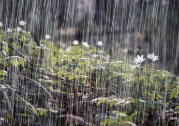 Frente frío y vaguada producirán lluvias este martes