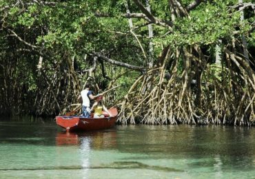 Hoy es el Día Mundial de los Humedales: ¿conoces los principales de la República Dominicana?