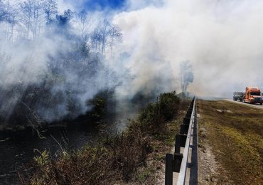 Video | Incendio de más de 10.000 hectáreas se expande sin control en los Everglades en Florida