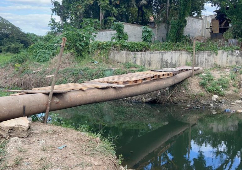 Comunitarios construyen puente de palmeras para que niños no arriesguen la vida cruzando el Ozama